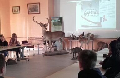 Rencontre d’un responsable de l’association des chasseurs