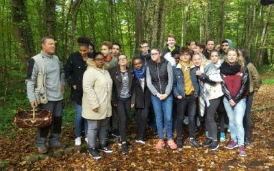 Sortie au lac de la forêt d’Orient : à la découverte des champignons.