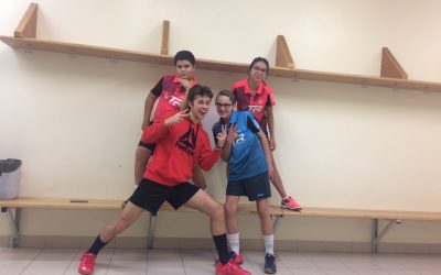 L’équipe de badminton, championne départementale unss excellence